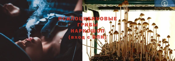 гидра Баксан