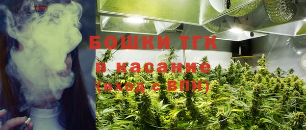 хмурый Балабаново