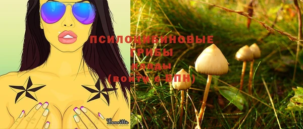 дурь Арсеньев