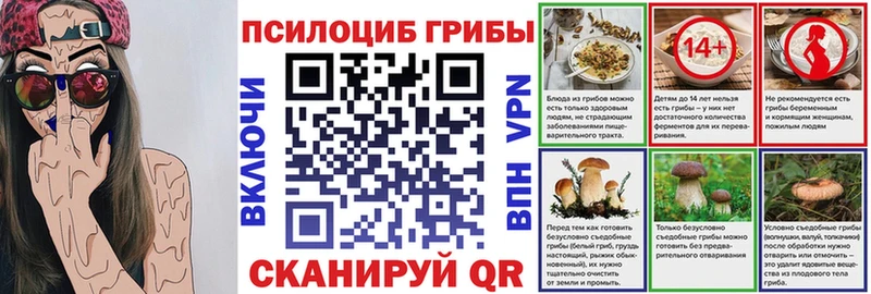 Галлюциногенные грибы Psilocybe  Междуреченск 