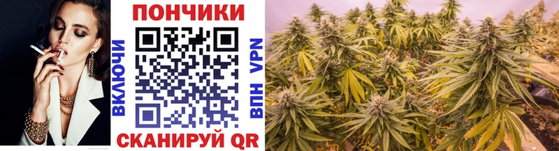цены   Междуреченск  Шишки марихуана White Widow 